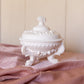 Vintage Westmoreland Off White Matte Glass Lidded Argonaut Shell Dish